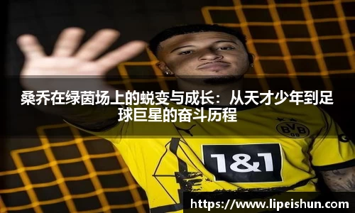 j9九游国际站官网